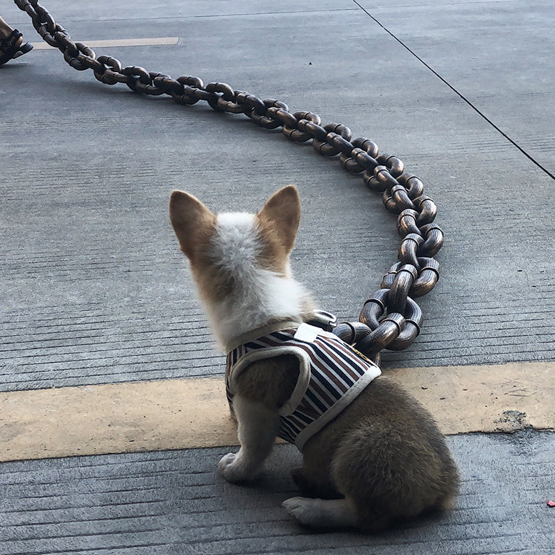 Stoere en Grappige Hondenriem - PawChic