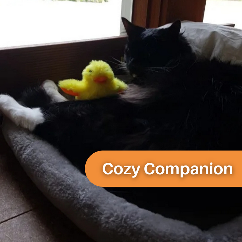 Pluskająca Kaczka Zabawka dla Kotów - DuckDash™ (1+1 GRATIS)