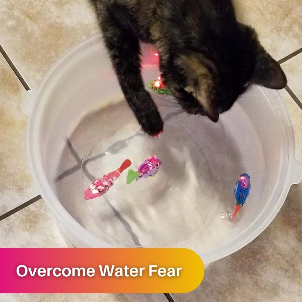 Speelset voor Katten - AquaPurr