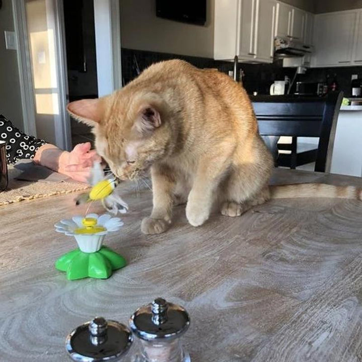 Interactive Bird Toy for Cats - Purrfect Play
