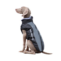 Reflective Dog Jacket with Harness - GlowPaw™