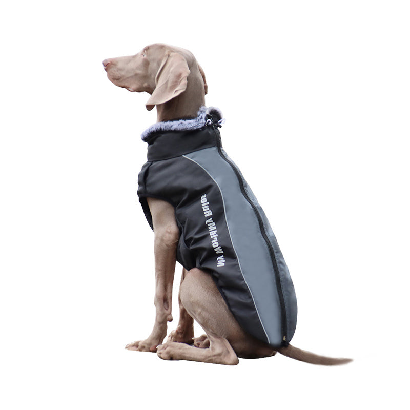 Reflective Dog Jacket with Harness - GlowPaw™