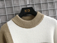 Sammy Jackson™ Color Patch Trui | Geruite gebreide trui