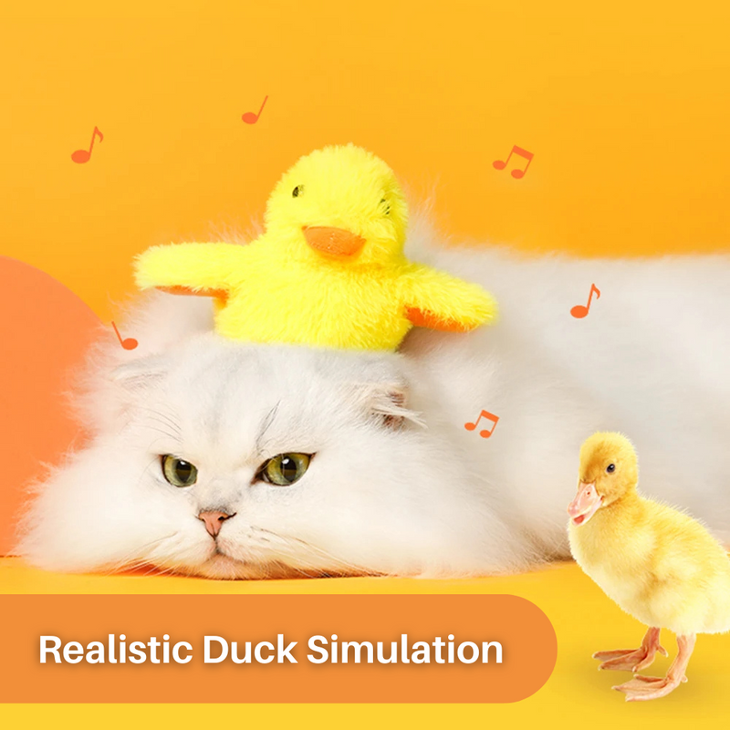 Pluskająca Kaczka Zabawka dla Kotów - DuckDash™ (1+1 GRATIS)