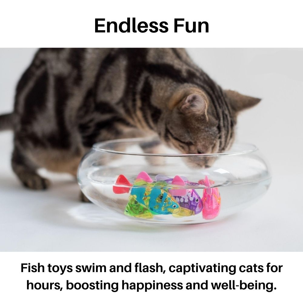 Speelset voor Katten - AquaPurr