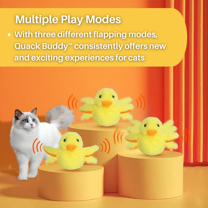 Pluskająca Kaczka Zabawka dla Kotów - DuckDash™ (1+1 GRATIS)