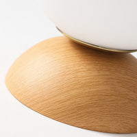Japanese Style LED Ceiling Lamp – Renji