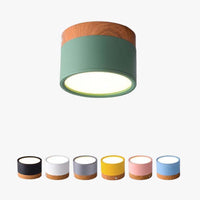 Morandi Style Modern LED Ceiling Lamp - LumiModo
