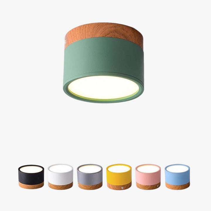 Morandi Style Modern LED Ceiling Lamp - LumiModo
