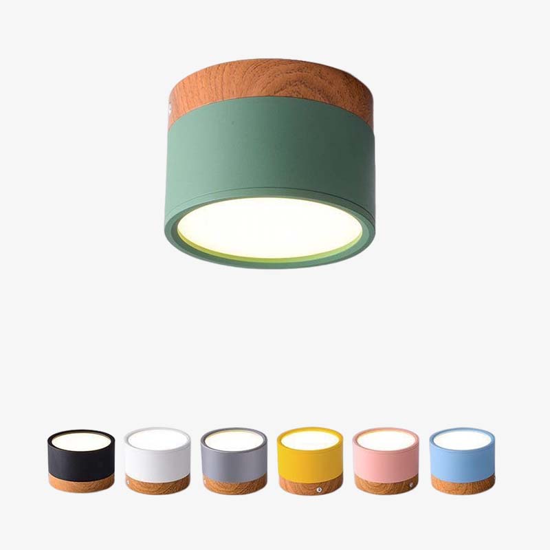 Morandi Style Modern LED Ceiling Lamp - LumiModo