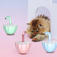 Kattenspeeltje met Laser - LaserChase