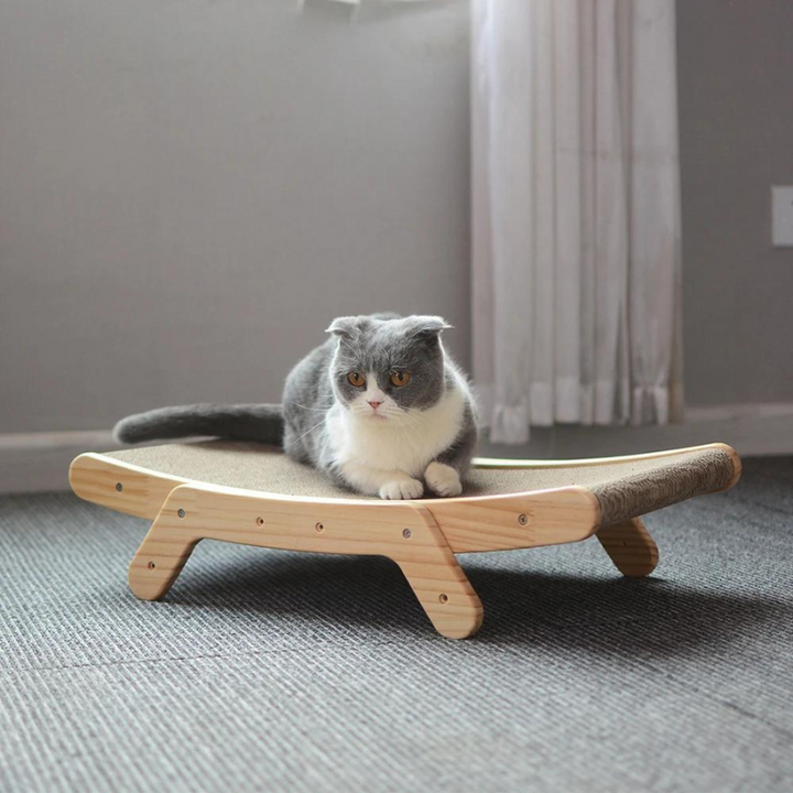 Katten Krabbed - Luna
