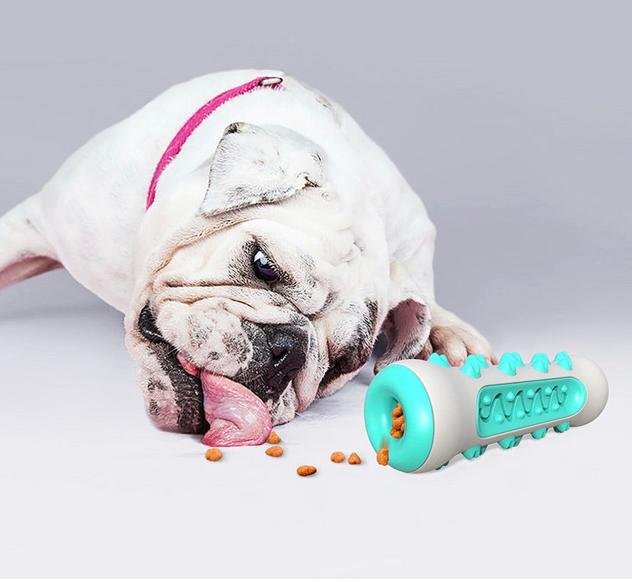 Dental Cleaning Chew Toy for Dogs – Chewly