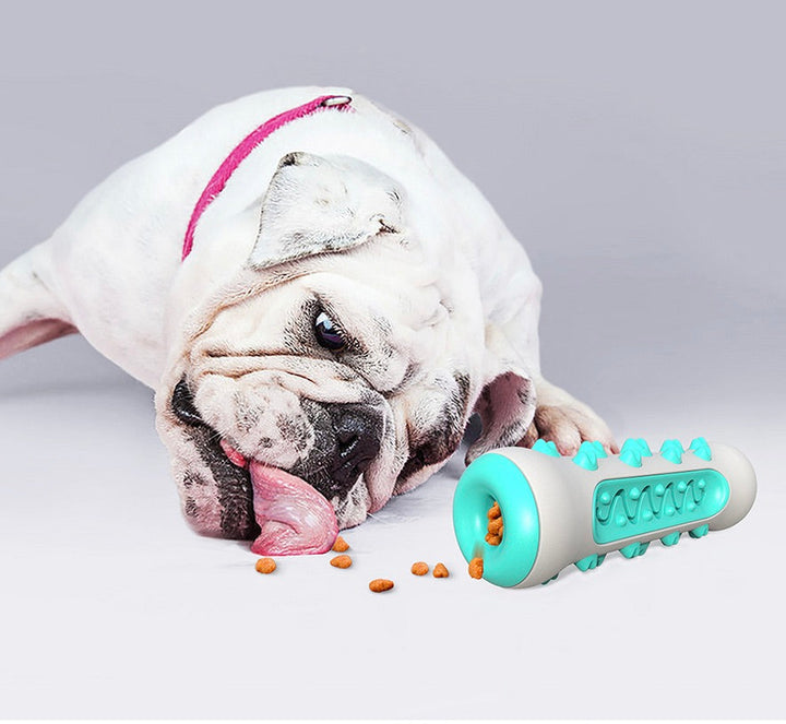 Dental Cleaning Chew Toy for Dogs – Chewly