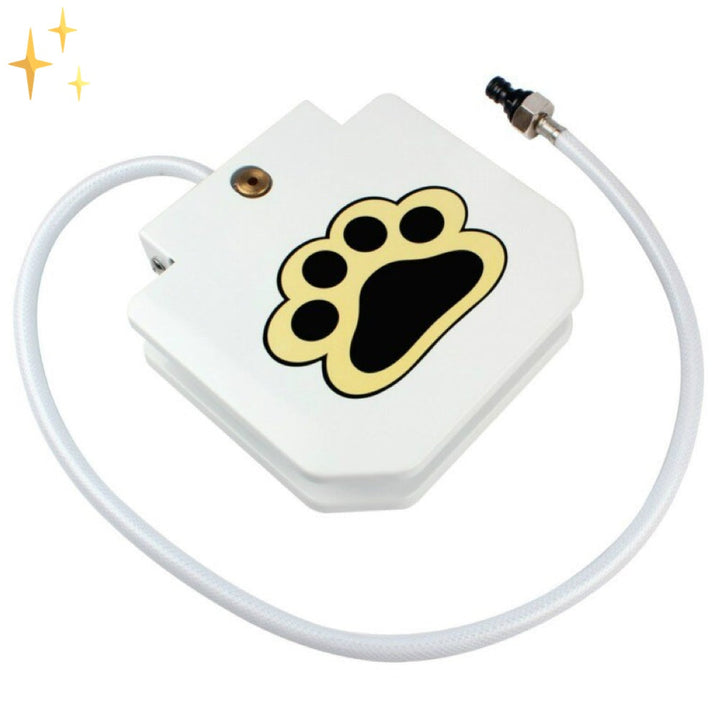 Interactief Honden Fontein Speelgoed - PawSplash