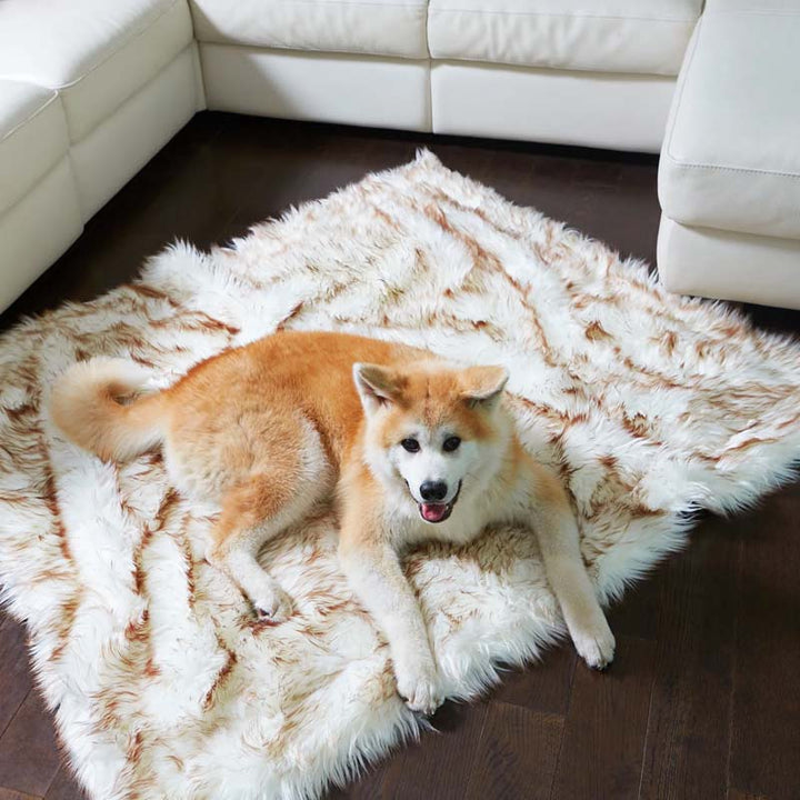 Luxe Waterdichte Huisdierendeken - CozyPaw™