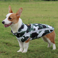 Waterproof Winter Jacket for Dogs - StormGuard