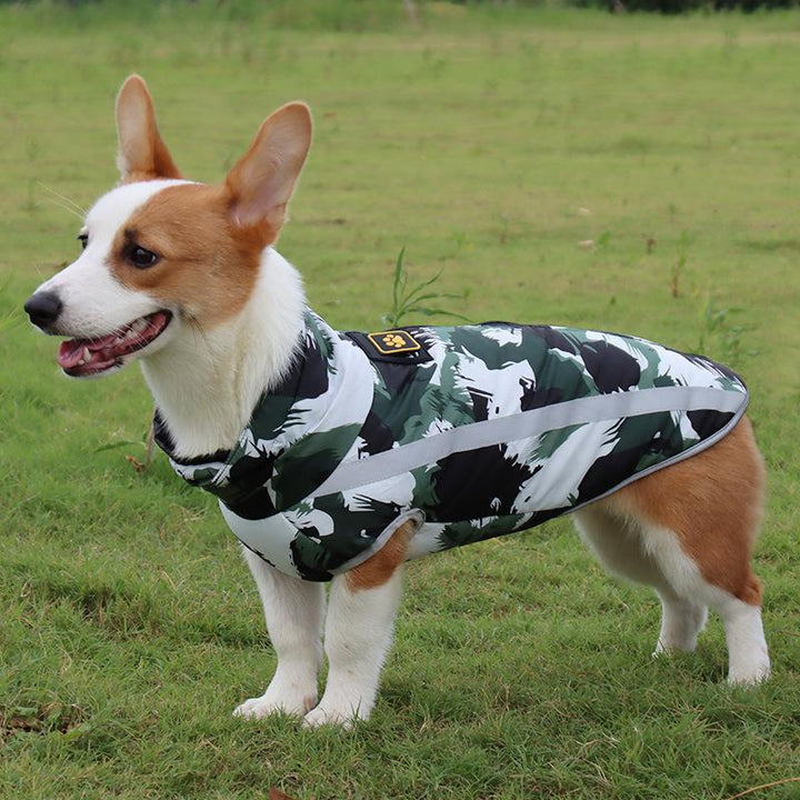 Waterproof Winter Jacket for Dogs - StormGuard