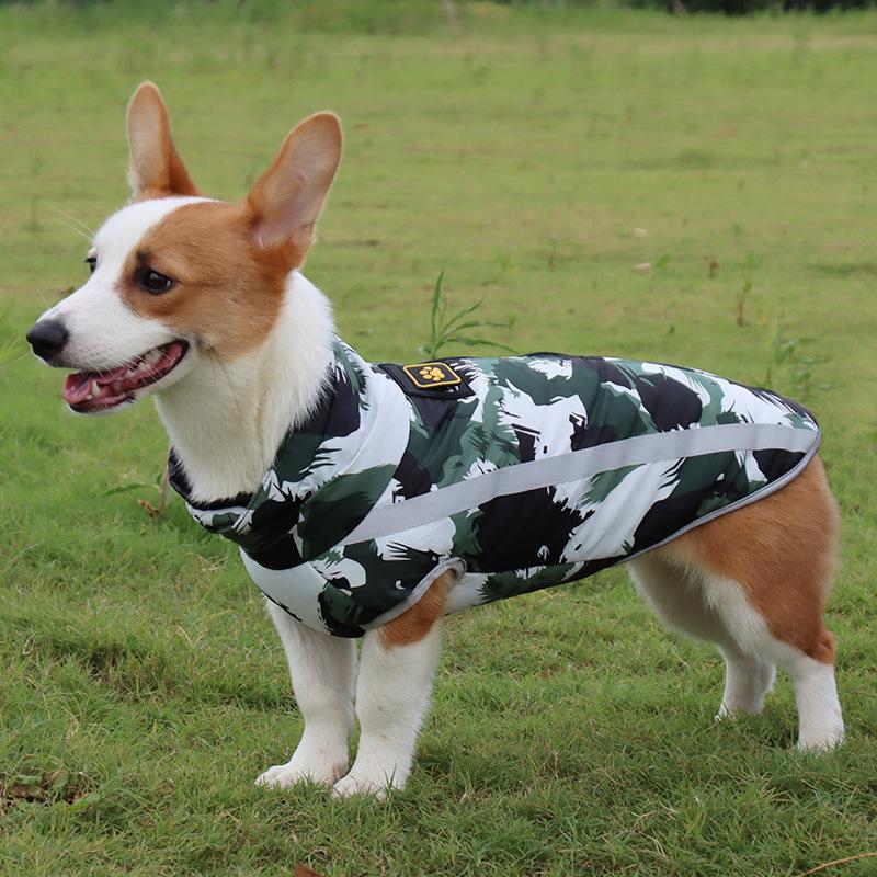 Waterproof Winter Jacket for Dogs - StormGuard