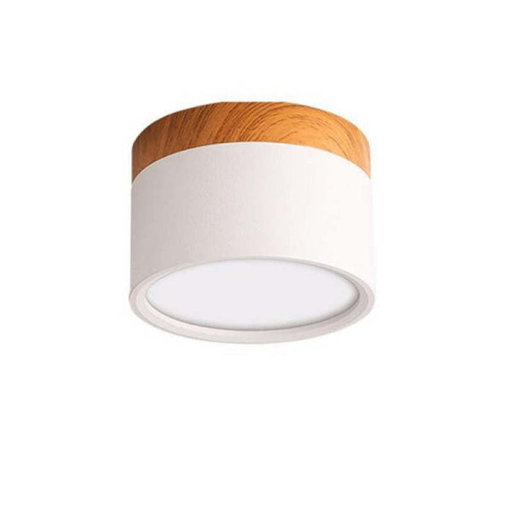 Morandi Style Modern LED Ceiling Lamp - LumiModo