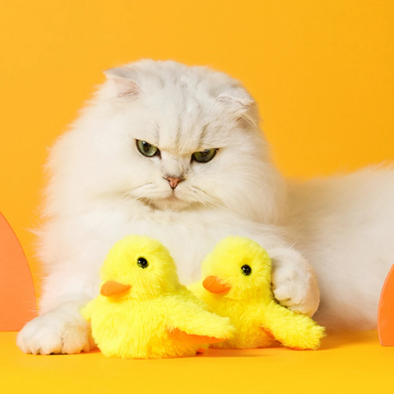 Pluskająca Kaczka Zabawka dla Kotów - DuckDash™ (1+1 GRATIS)