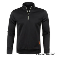 Sweter Sammy Jackson™ z zamkiem | Grubszy sweter z półzamkiem