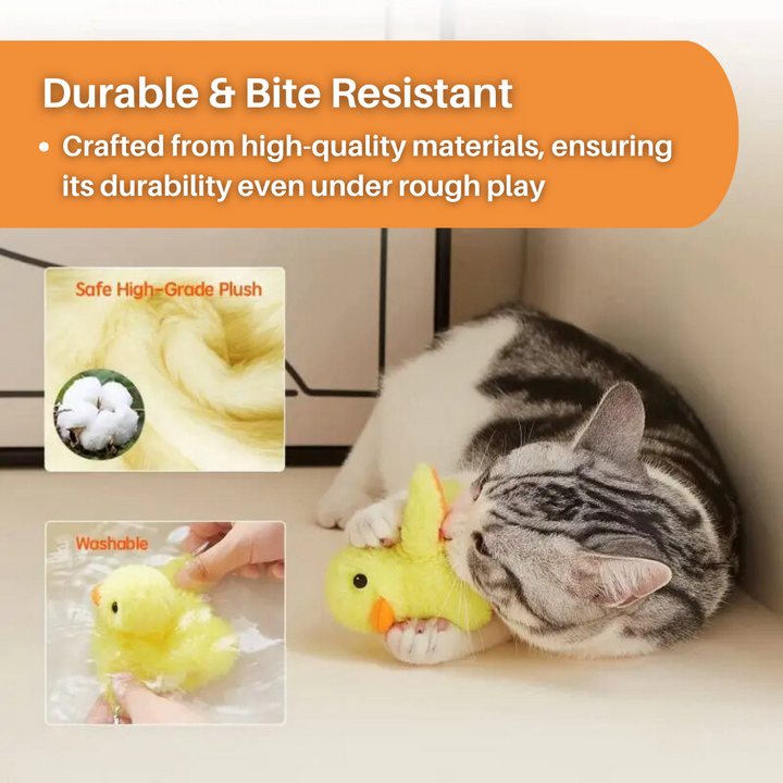 Pluskająca Kaczka Zabawka dla Kotów - DuckDash™ (1+1 GRATIS)