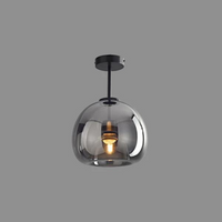 Trendy LED Ceiling Lamp - Maxwell