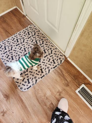 Leakproof Pet Mat - PetPaws Comfortmat