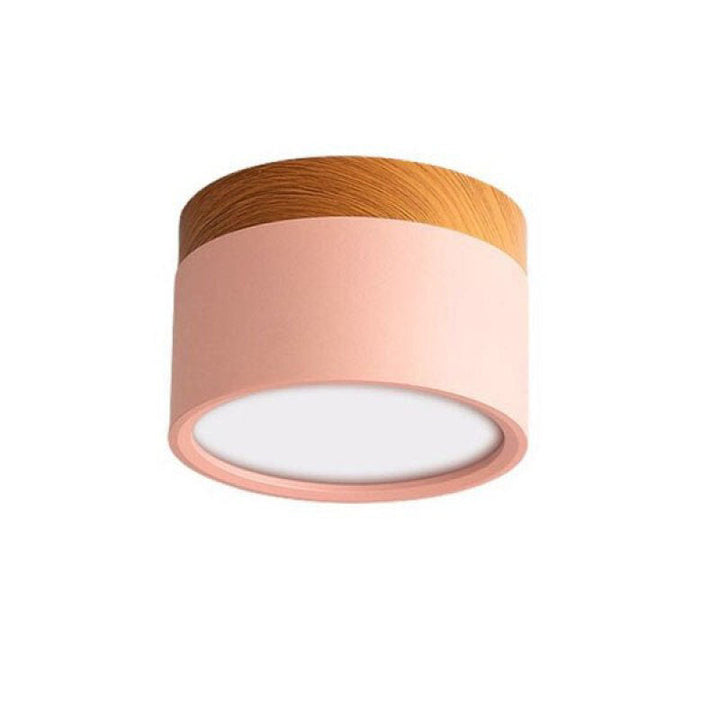 Morandi Style Modern LED Ceiling Lamp - LumiModo