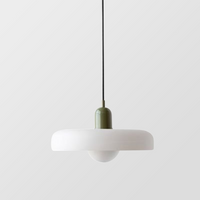 Colored Glass Pendant Lamp - BauLume