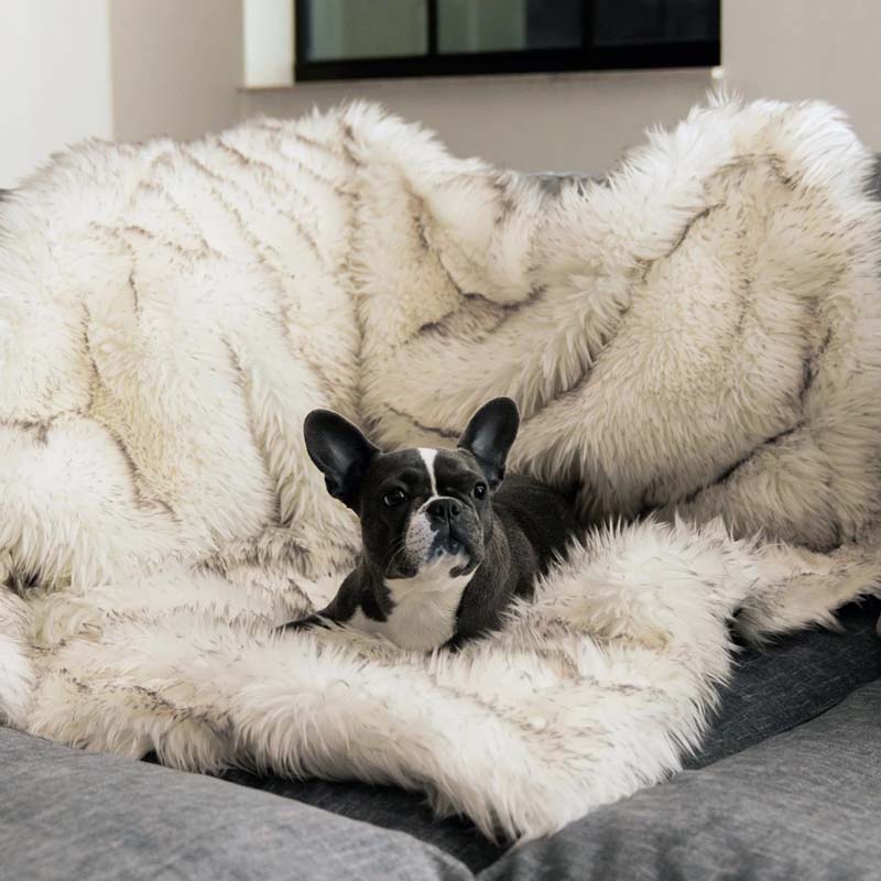 Luxe Waterdichte Huisdierendeken - CozyPaw™