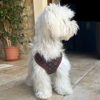Dog Harness and Leash Set – PawLuxe