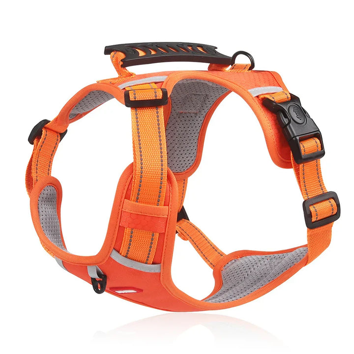 Sturdy & Comfortable Dog Harness - ActivePup™
