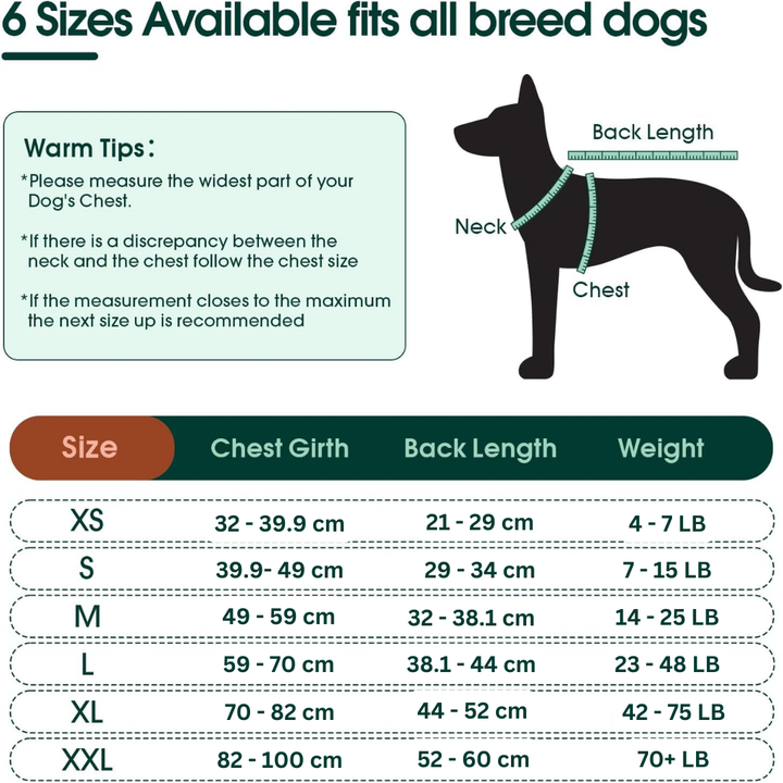 Fast Recovery Suit for Pets – Healing After Surgery