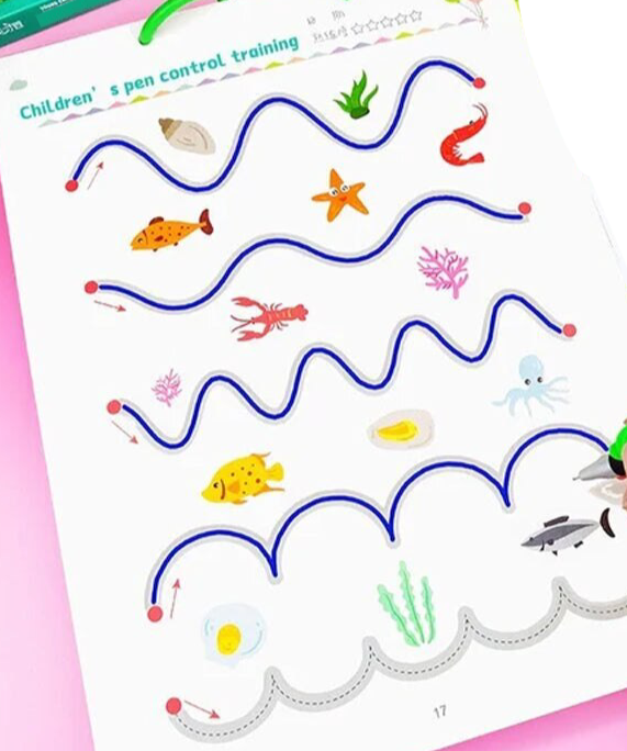 Reusable Cover Writing Workbook Set - Pip