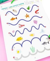 Reusable Cover Writing Workbook Set - Pip