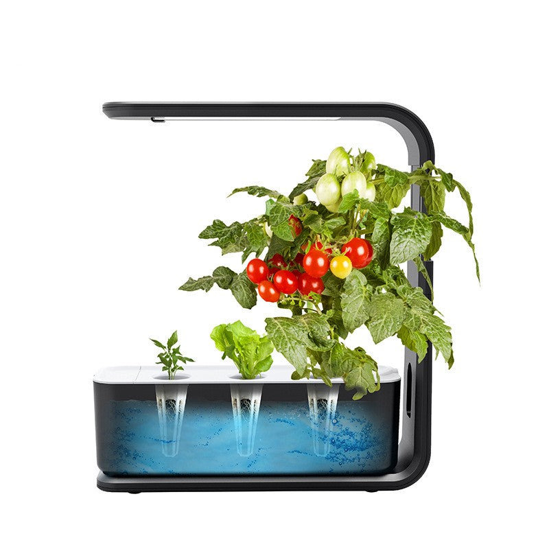 Smukły system hydroponiczny do roślin do użytku wewnętrznego - GreenBloom Hydro