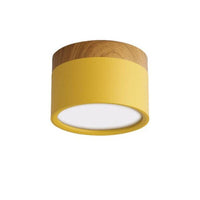 Morandi Style Modern LED Ceiling Lamp - LumiModo