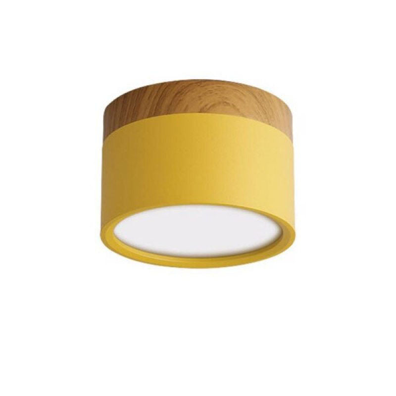 Morandi Style Modern LED Ceiling Lamp - LumiModo