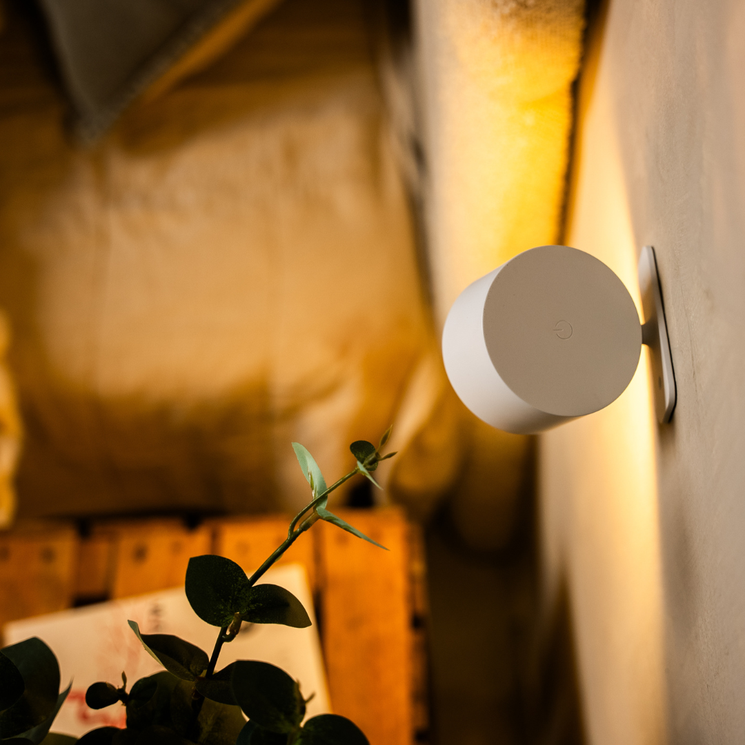 Achterkant van de witte lamp met een rond aanraakpunt voor bediening, schuin gefotografeerd naast een plantentak. 13