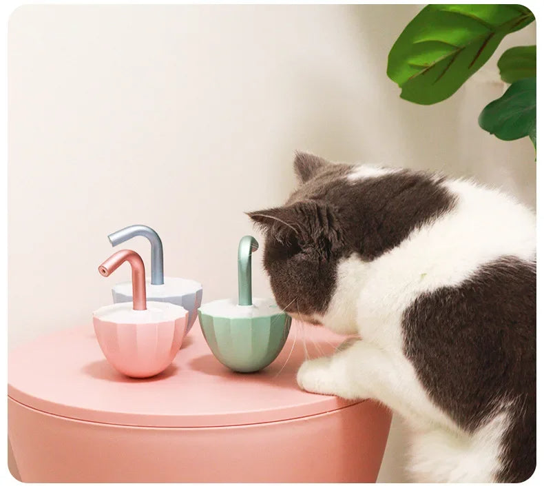 Kattenspeeltje met Laser - LaserChase