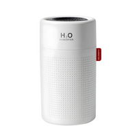 Portable, Rechargeable Humidifier - AirEase