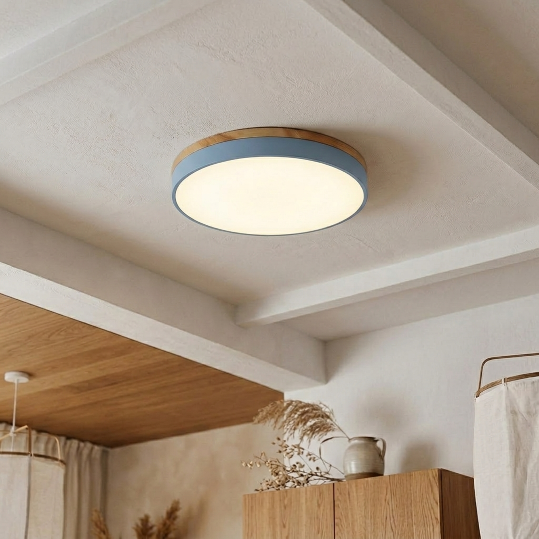 Round Disc Ceiling Light – Flat Flush Mount Fixture 13