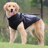 Reflective Dog Jacket with Harness - GlowPaw™