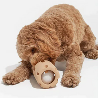 Gebit Verzorgend Speelgoed voor Honden - BounceChew
