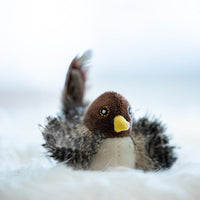 Interactief Kattenspeeltje - ChirpBird