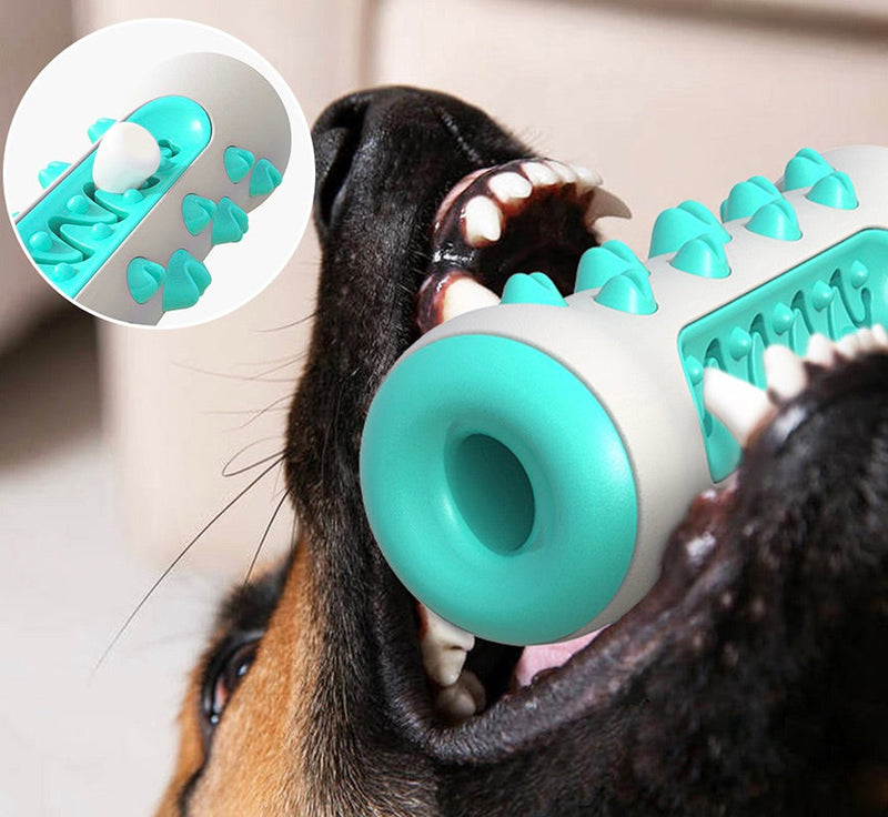 Dental Cleaning Chew Toy for Dogs – Chewly