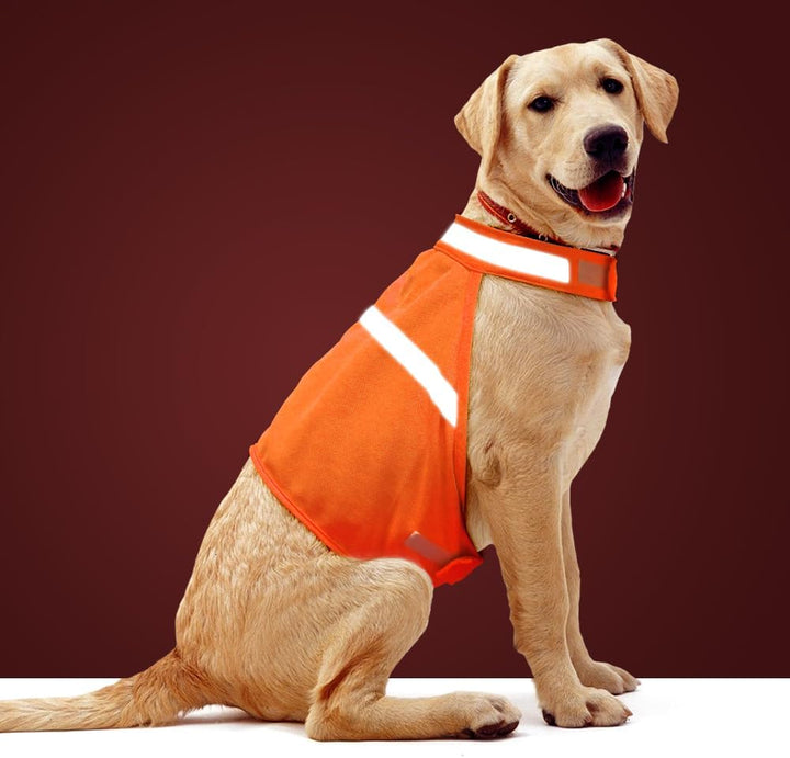 Reflective Dog Vest - High Visibility Safety Vest