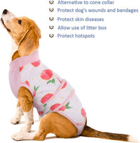 Fast Recovery Suit for Pets – Healing After Surgery